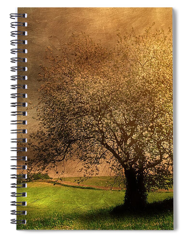 Blossom Spiral Notebook featuring the painting Stormy Weather by Georgiana Romanovna