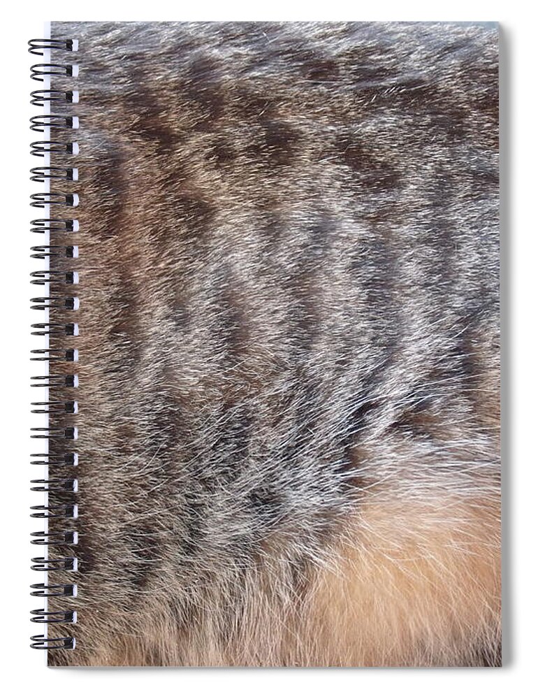 David S Reynolds Spiral Notebook featuring the photograph Stripes by David S Reynolds