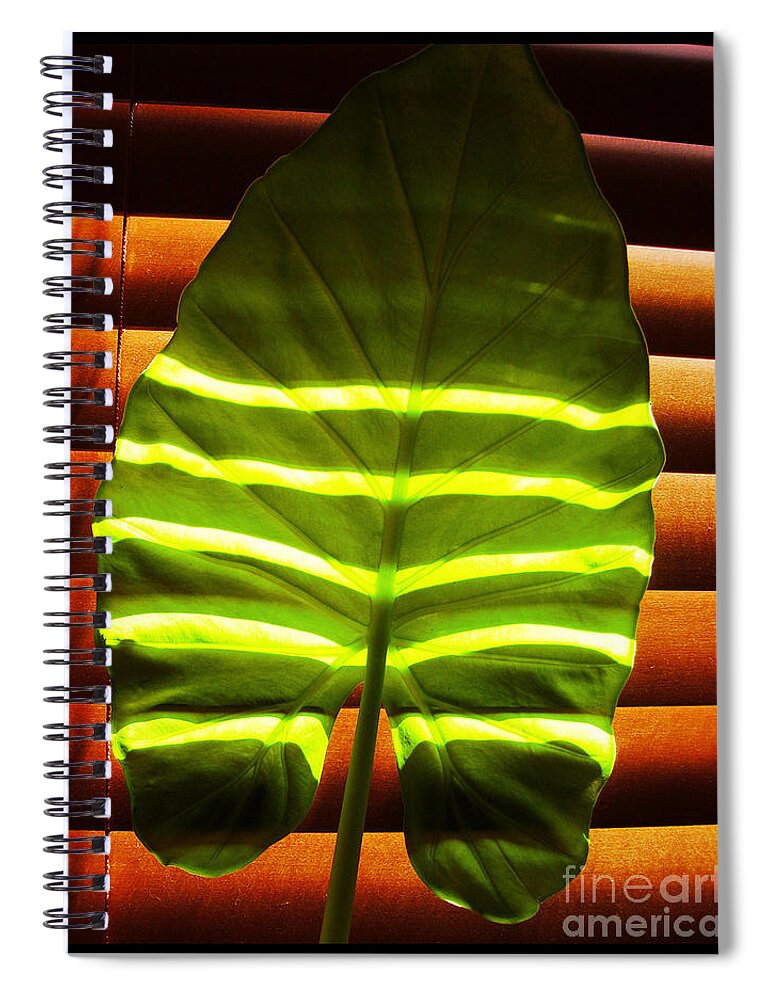 Stripes Spiral Notebook featuring the photograph Stripes Of Light by Nina Ficur Feenan