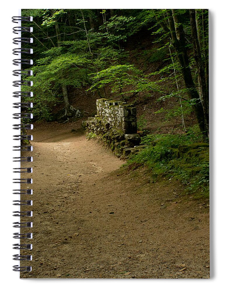 Sandra Clark Spiral Notebook featuring the photograph Stroll in the Evening Across Poinsett Bridge by Sandra Clark