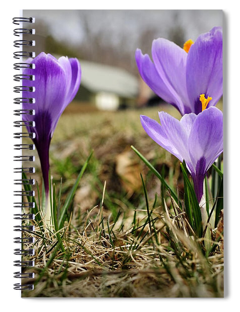 Spring Spiral Notebook featuring the photograph Suburban Spring by Luke Moore