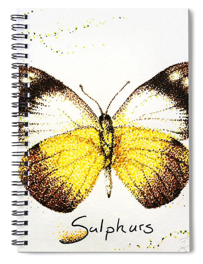 Sulphurs Spiral Notebook featuring the drawing Sulphurs - Butterfly by Katharina Bruenen