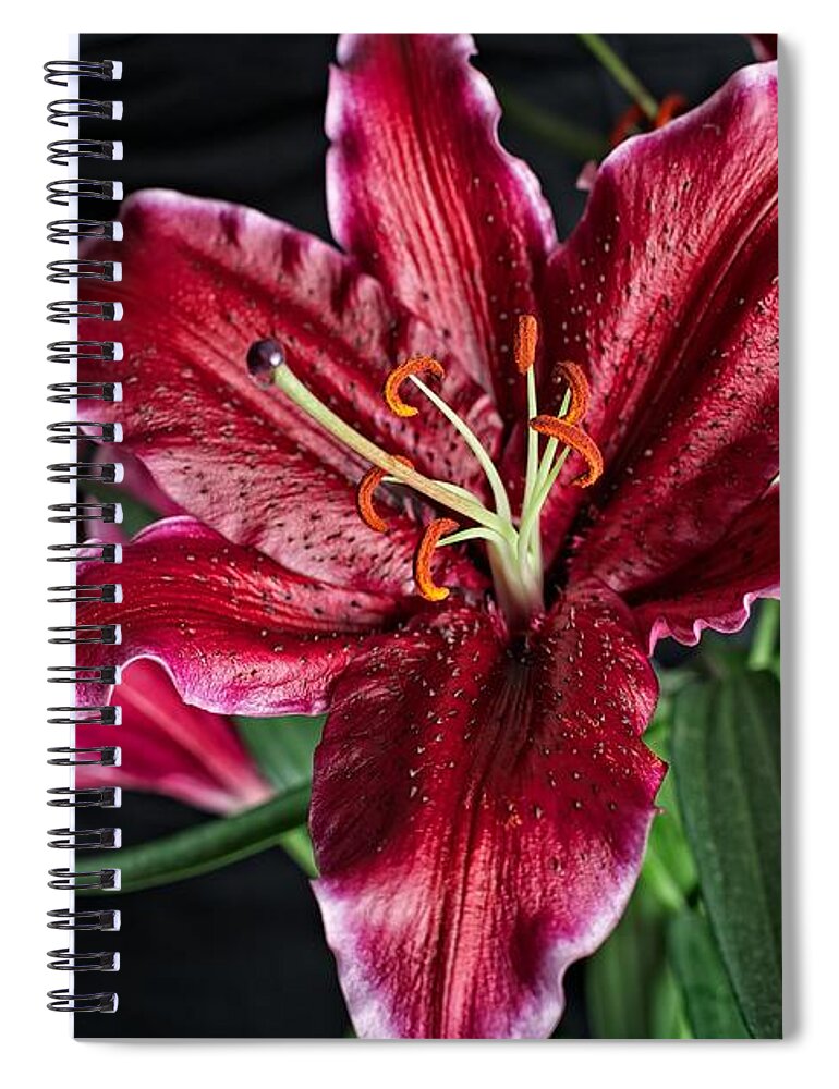 Flower Spiral Notebook featuring the photograph Sumatran Lily by Dave Files