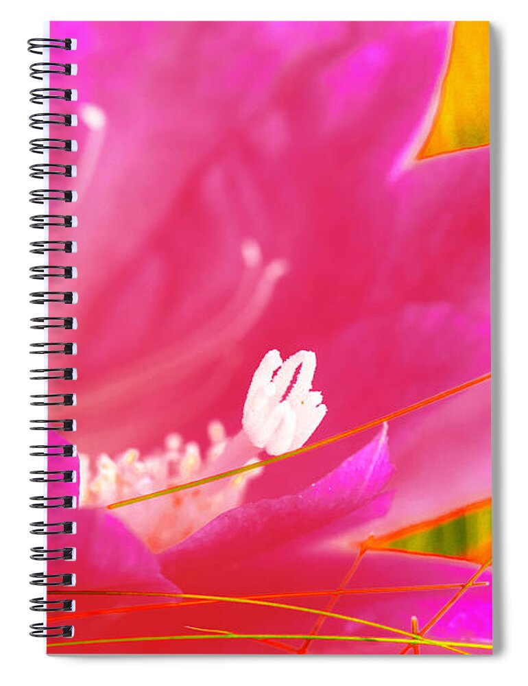 Summer Spiral Notebook featuring the photograph Summer Cactus Bloom by Tap On Photo