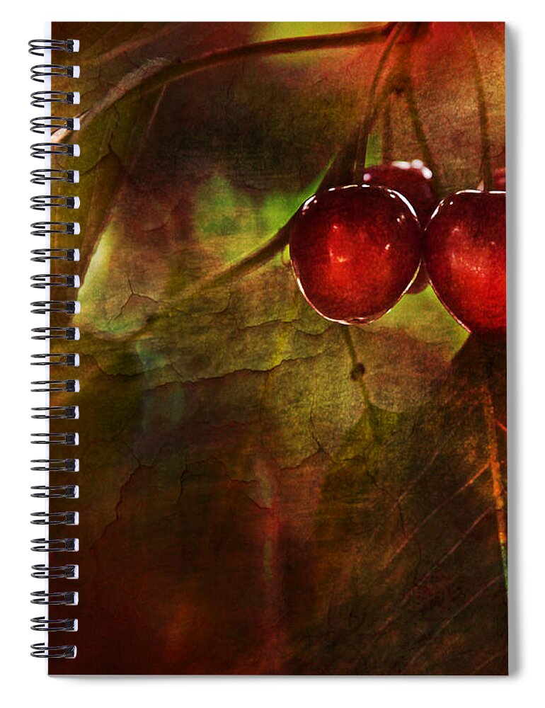 Kitchen Spiral Notebook featuring the photograph Summer Cherries 2 by Theresa Tahara