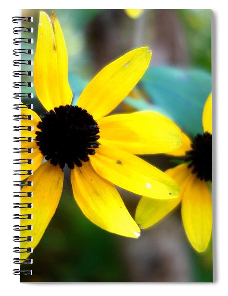 Flowering Spiral Notebook featuring the photograph Summer Daisy 5 by Jacqueline Athmann