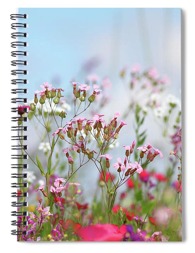 Flowerbed Spiral Notebook featuring the photograph Summer Meadow With Carnation by Schmitzolaf