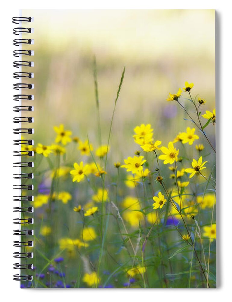 Wildflowers Spiral Notebook featuring the photograph Summer Wildflowers on the Rim by Saija Lehtonen