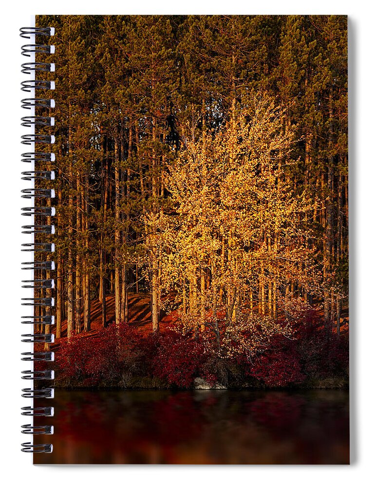 Autumn Spiral Notebook featuring the photograph Summers End by Susan Candelario