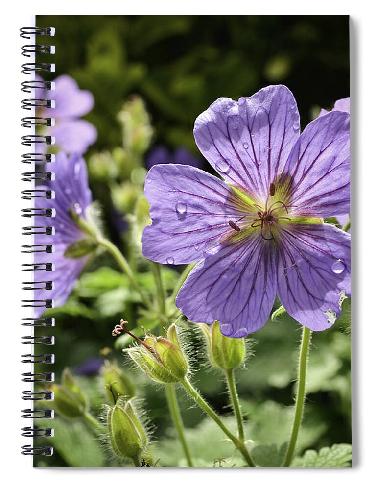 Nature Spiral Notebook featuring the photograph Sun bathed Geranium by Spikey Mouse Photography