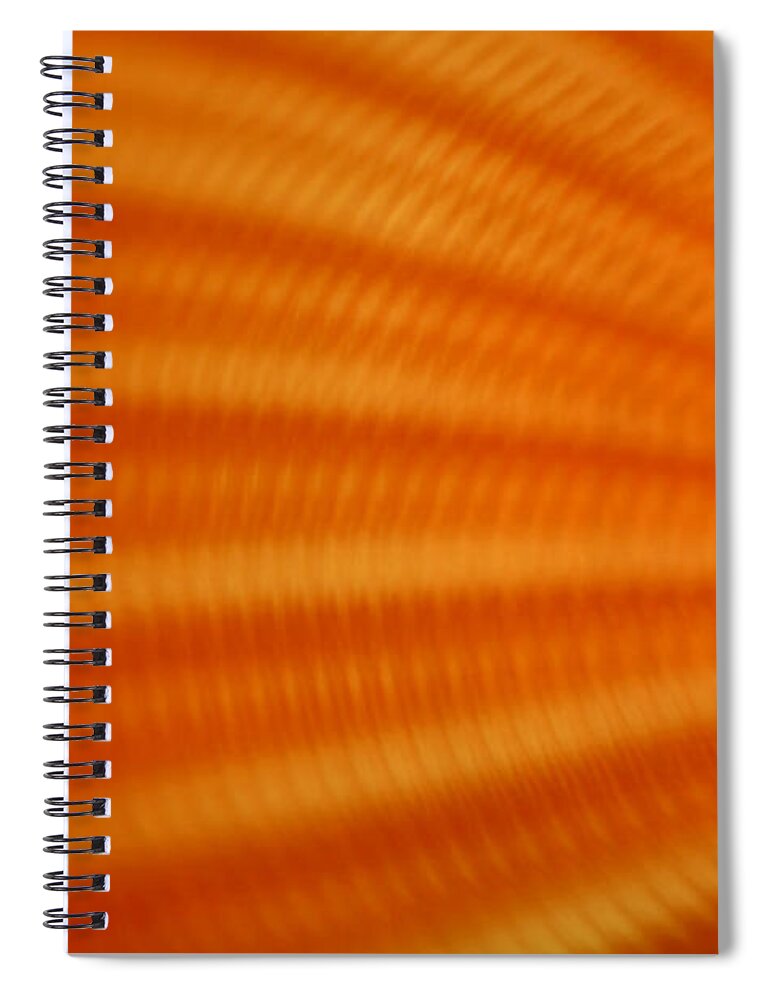 Abstract Spiral Notebook featuring the photograph Sun it Rises by Dazzle Zazz