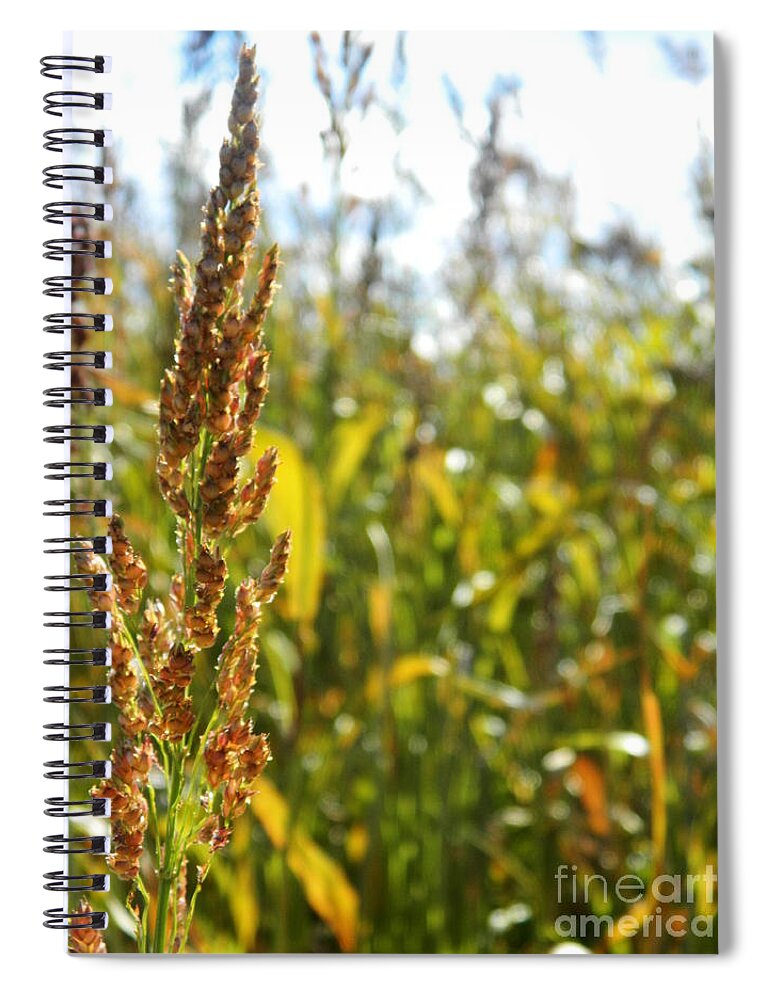 Healthy Spiral Notebook featuring the photograph Sun of life by Andrea Anderegg