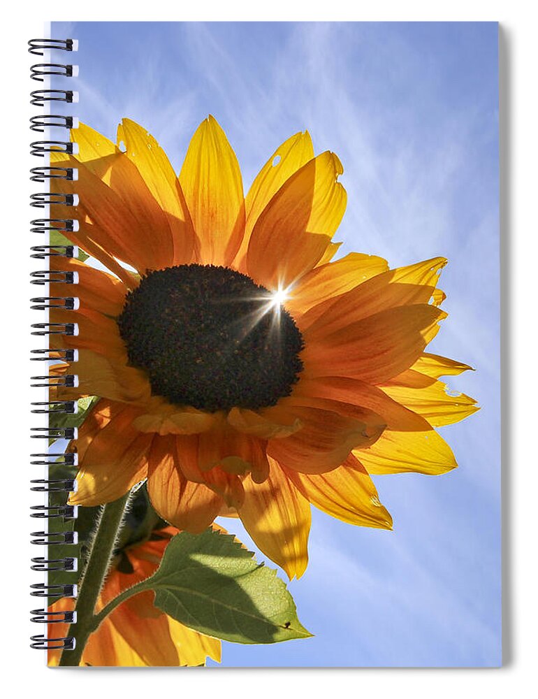 Maine Spiral Notebook featuring the photograph Sun Sparkle by Karin Pinkham