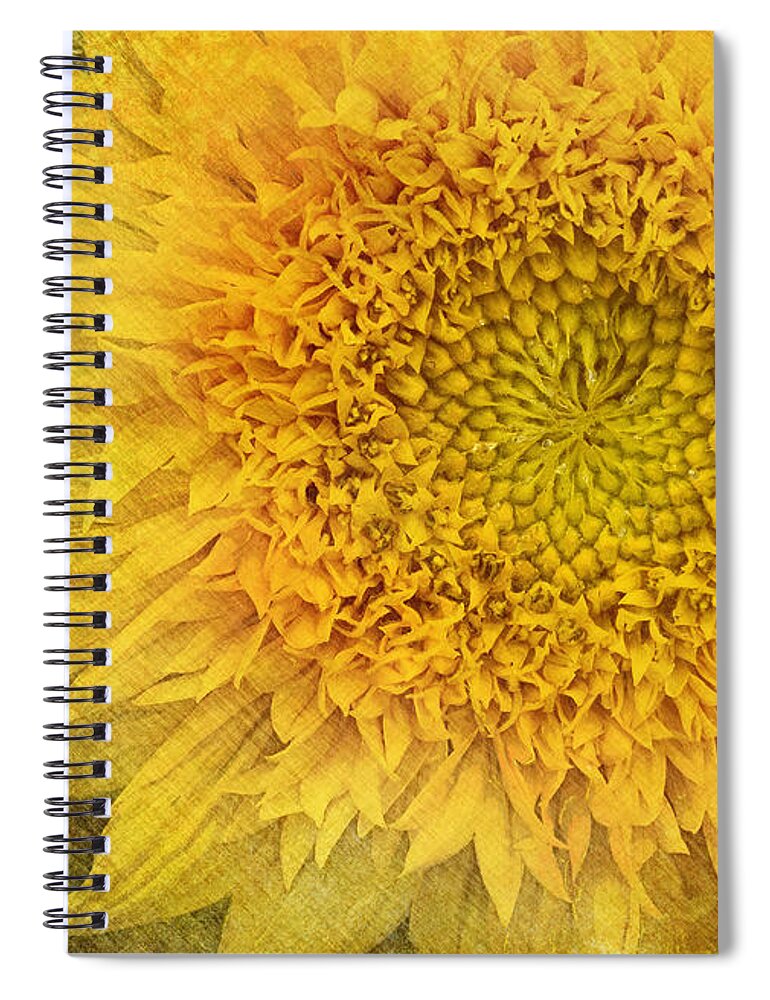 Sunflower Spiral Notebook featuring the photograph Sunflower by Carrie Cranwill