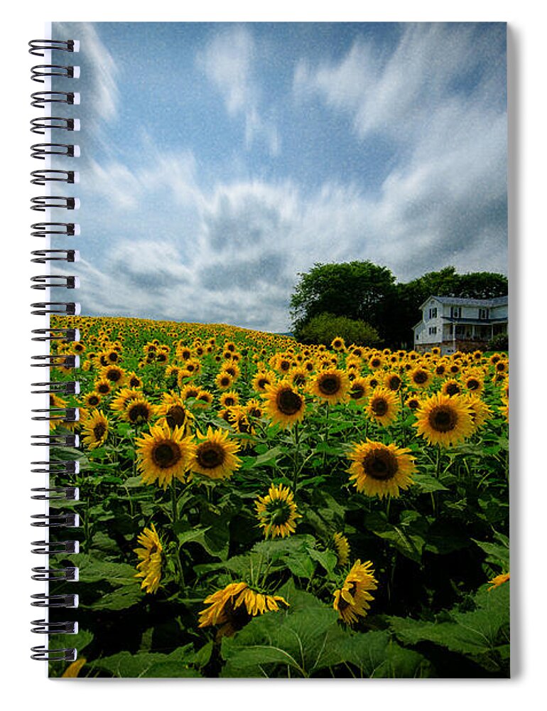 Sunflower Field Spiral Notebook featuring the photograph Sunflower field by Crystal Wightman