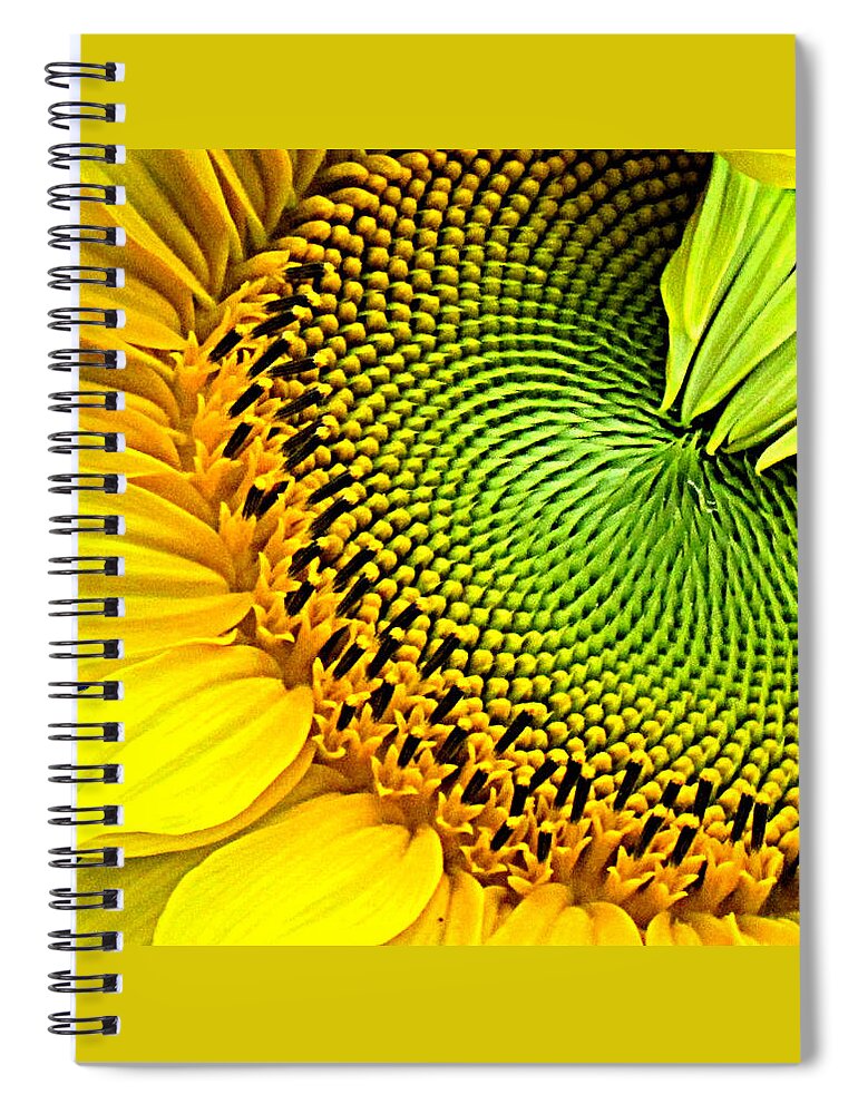 Flowers Spiral Notebook featuring the photograph Kaleidescope Sunflower by Lori Lafargue