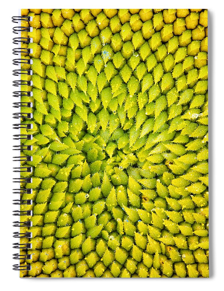 Sunflower Spiral Notebook featuring the photograph Sunflower middle by Tim Gainey