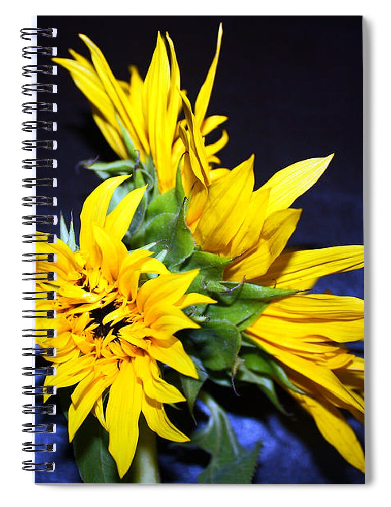 Sunflower Spiral Notebook featuring the photograph Sunflower Portrait by Kelly Holm