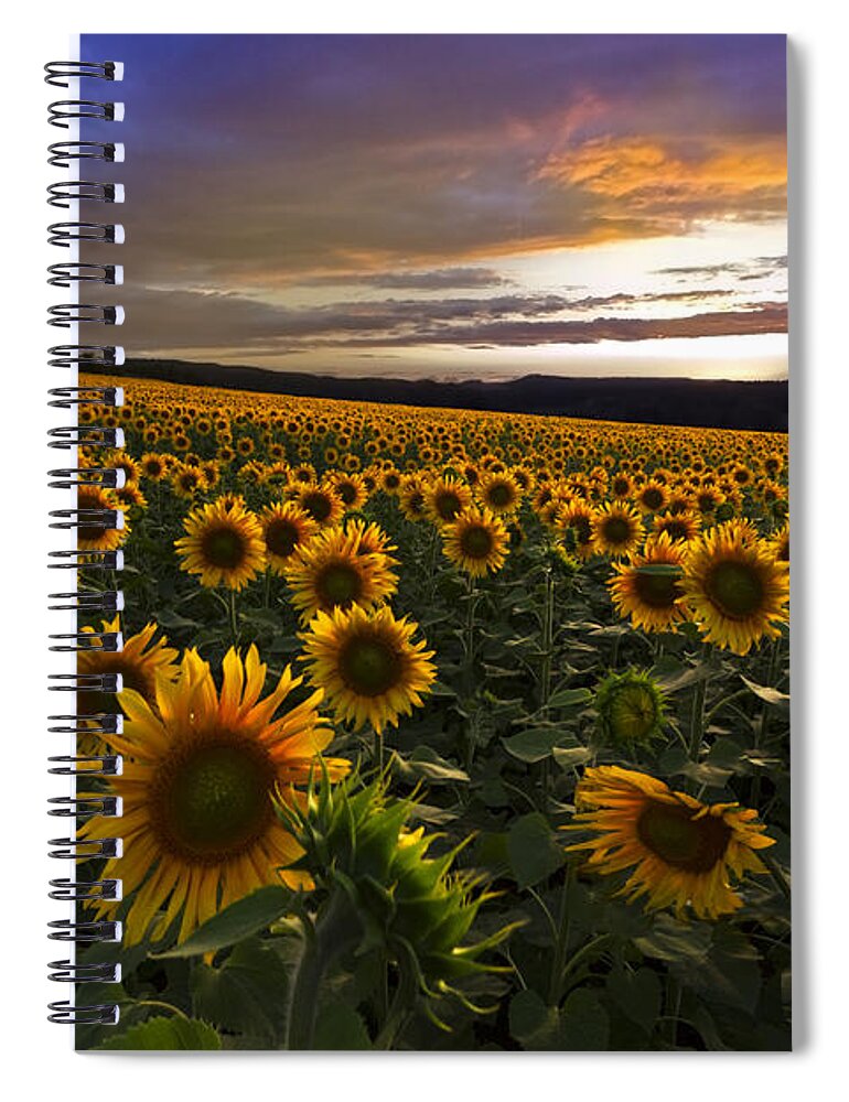 Austria Spiral Notebook featuring the photograph Sunflower Sunset by Debra and Dave Vanderlaan