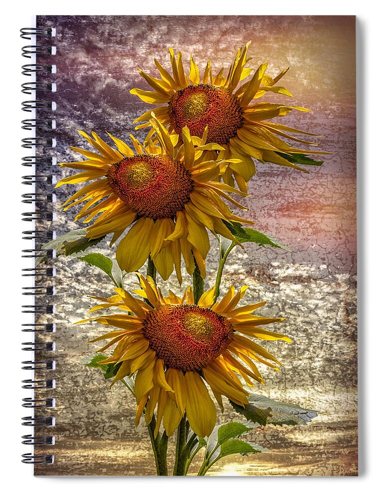 Clouds Spiral Notebook featuring the photograph Sunflower Trio by Debra and Dave Vanderlaan