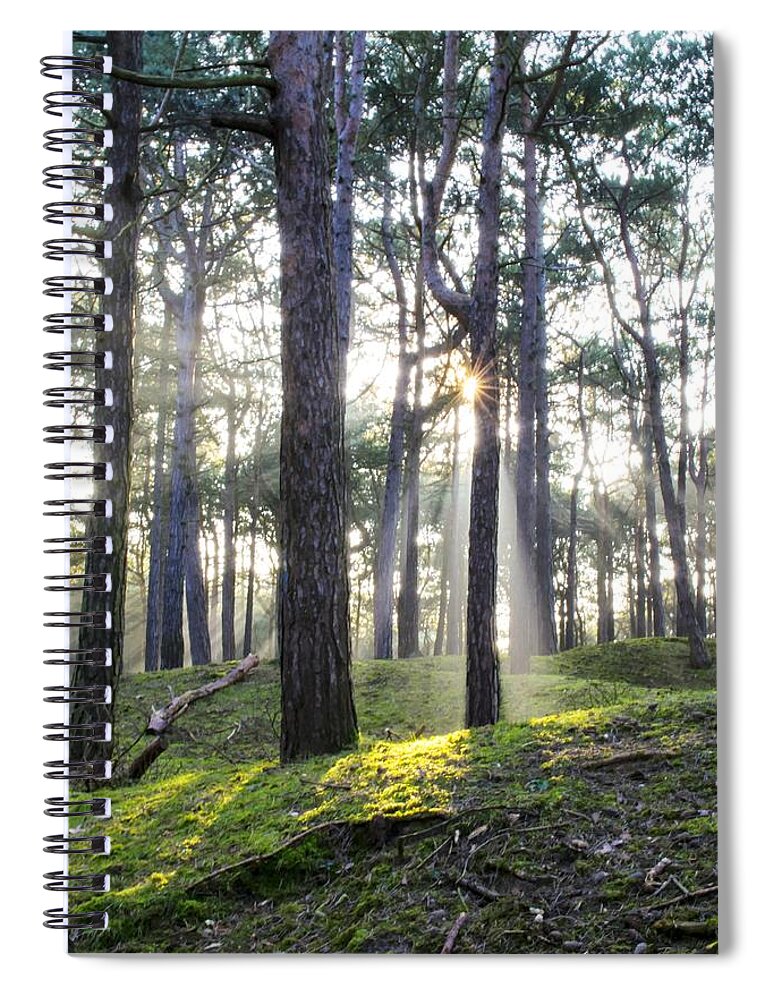Trees Spiral Notebook featuring the photograph Sunlit Trees by Spikey Mouse Photography