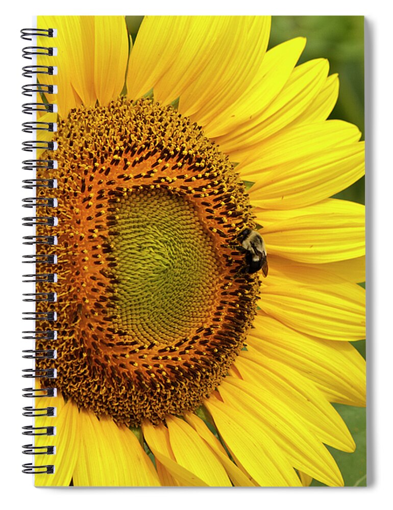 Bee Spiral Notebook featuring the photograph Sunny Bee by Christi Kraft
