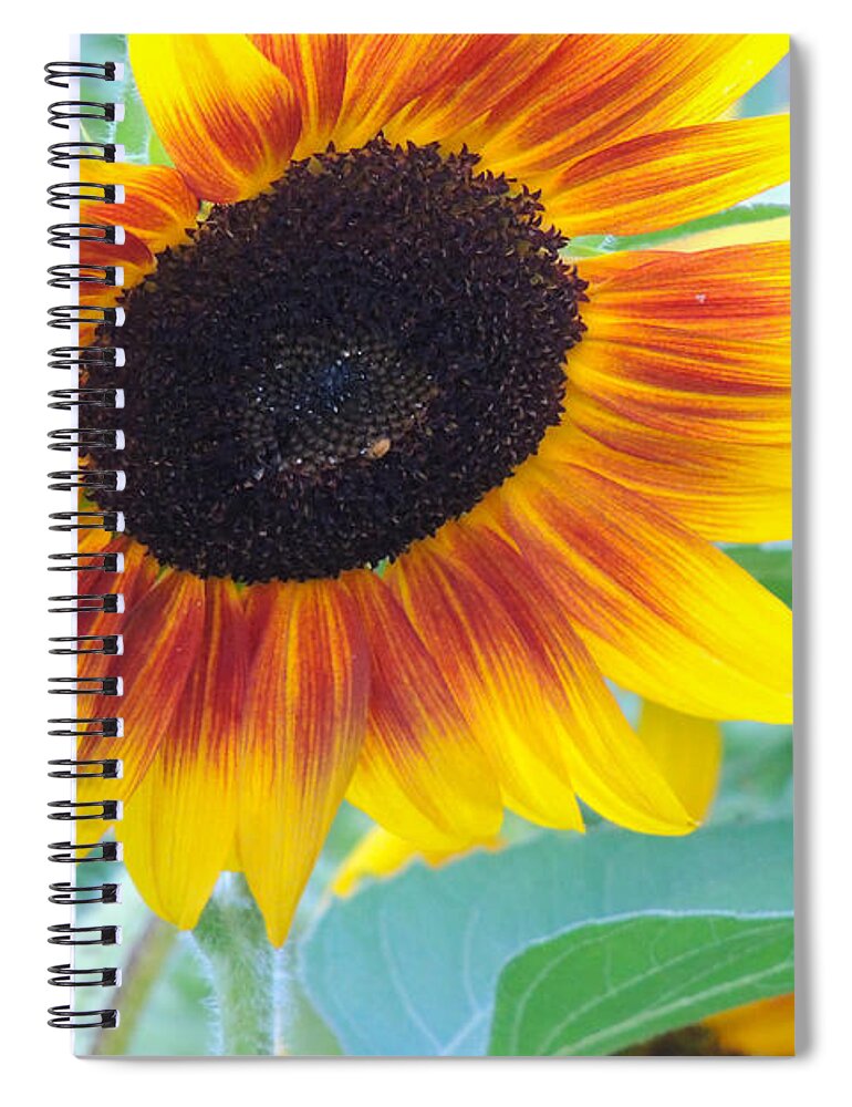 Dakota Spiral Notebook featuring the photograph Sunny Sunflower by Greni Graph