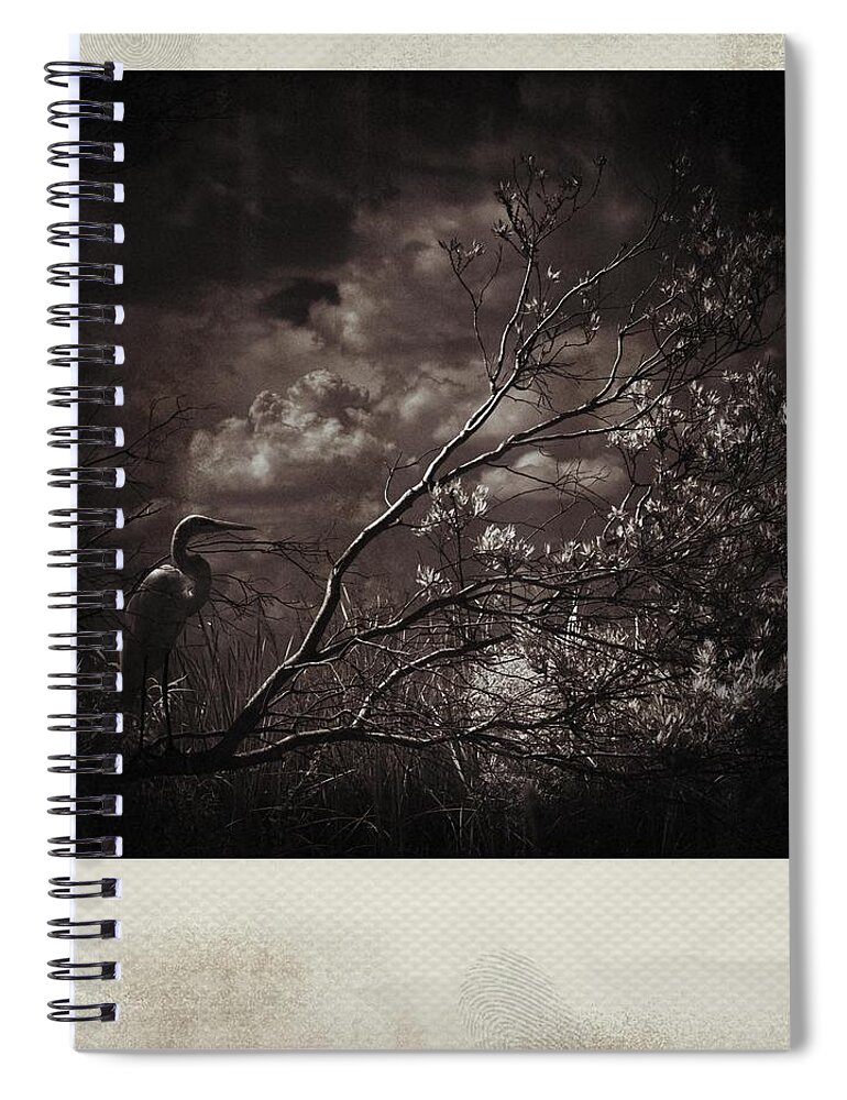 Egret Spiral Notebook featuring the photograph Sunset Heron Polaroid by Bradley R Youngberg
