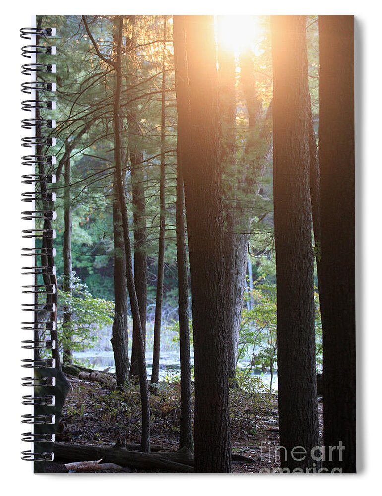 Sunset Spiral Notebook featuring the photograph Sunset in the Woods by Jayne Carney