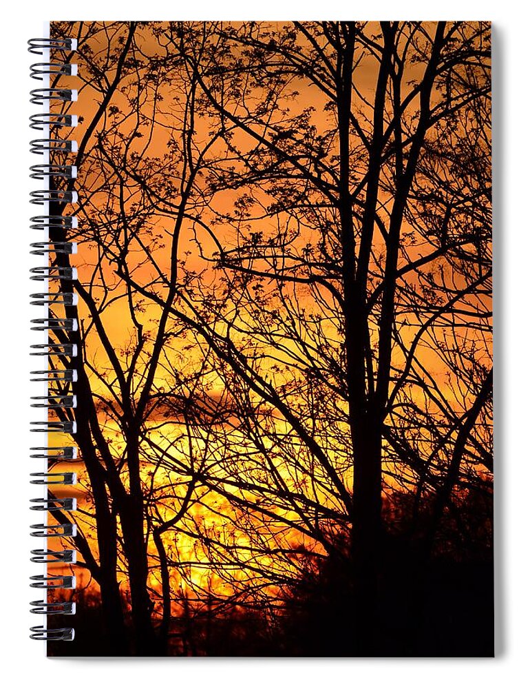 Landscape Spiral Notebook featuring the photograph Sunset Silhouettes behind the George Washington Masonic Memorial by Jeff at JSJ Photography