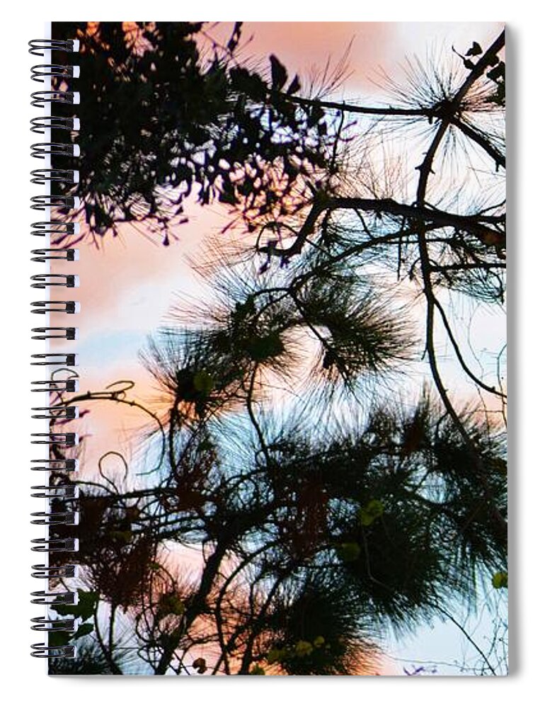 Nature Spiral Notebook featuring the photograph Sunset Through the Trees by Tamara Michael