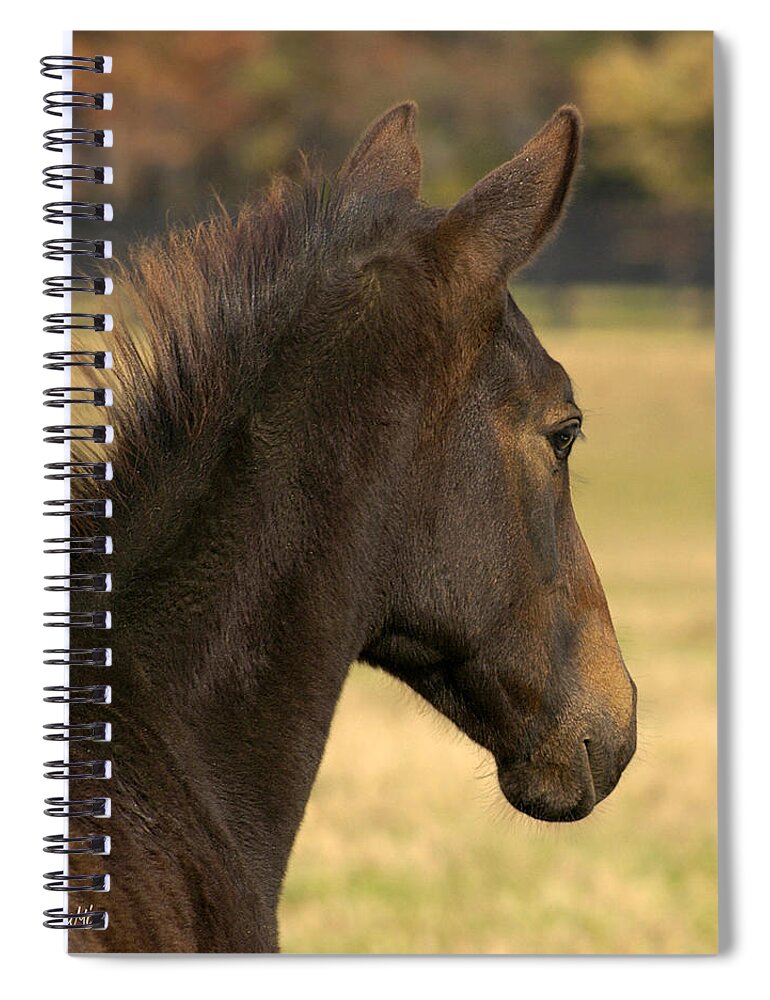 Portrait Spiral Notebook featuring the photograph Sunshine on my shoulder by Sami Martin