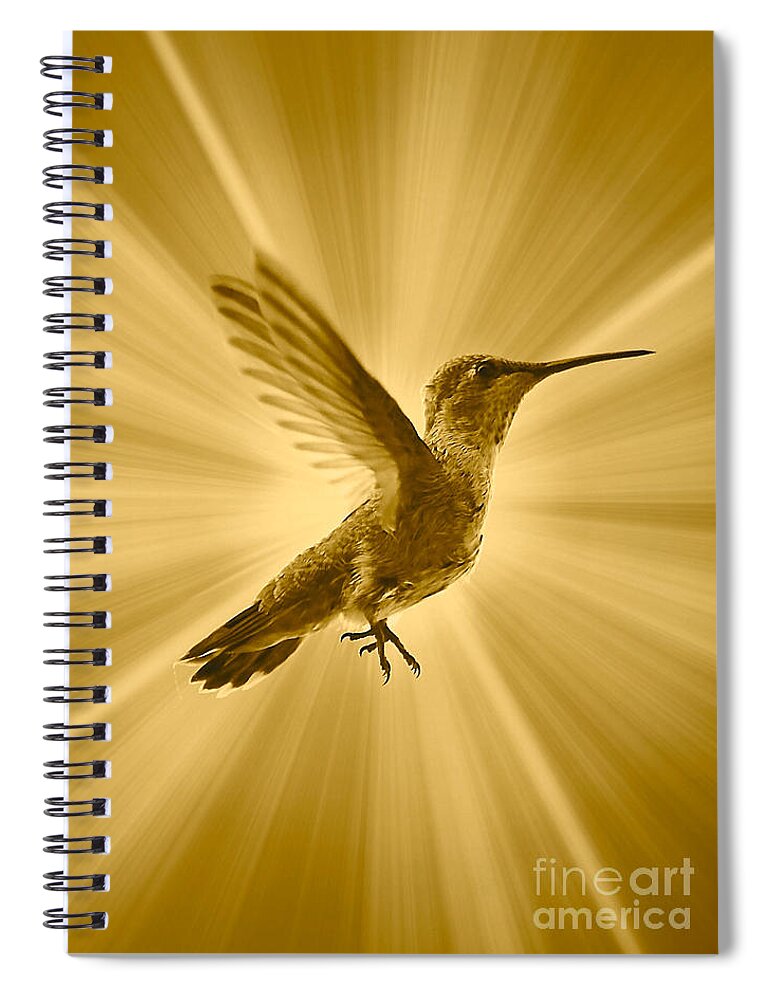 Hummingbird Spiral Notebook featuring the photograph Mighty Hummingbird by Carol Groenen
