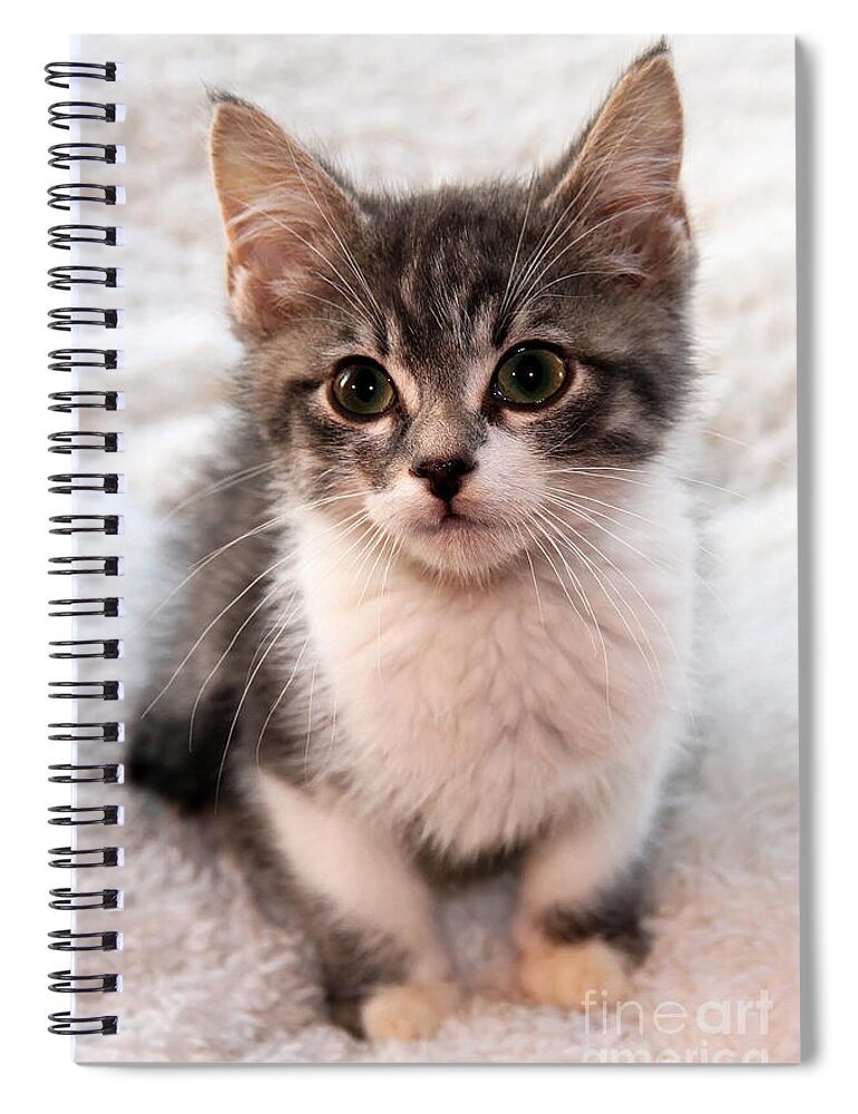 Animal Spiral Notebook featuring the photograph Sweet Face by Teresa Zieba