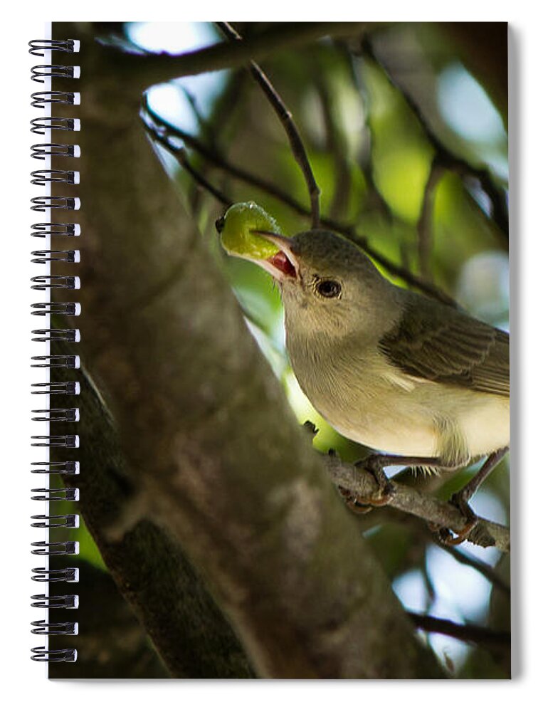 Cherry Spiral Notebook featuring the photograph Sweet pickings by SAURAVphoto Online Store