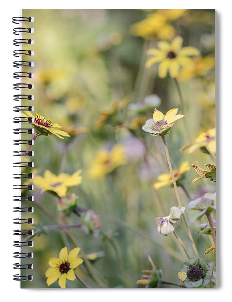 Chocolate Flower Spiral Notebook featuring the photograph Sweetness by Tamara Becker