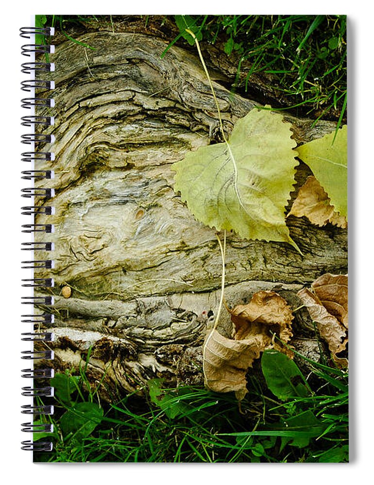 Rhonda Barrett Spiral Notebook featuring the photograph Swirls of Wood by Rhonda Barrett
