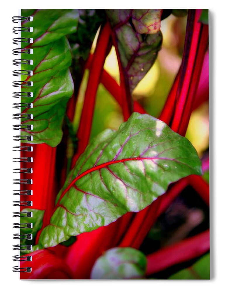 Kettuce Spiral Notebook featuring the photograph Swiss Chard Forest by Karen Wiles