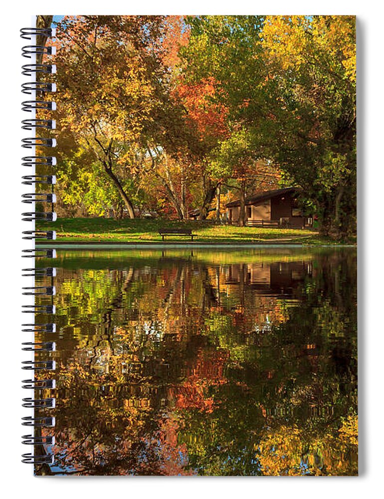 Sycamore Spiral Notebook featuring the photograph Sycamore Reflections by James Eddy