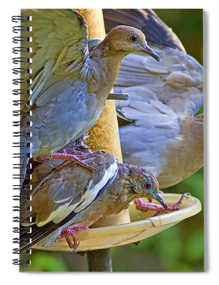 White Spiral Notebook featuring the photograph Symbols of Peace and Tolerance by Gary Holmes
