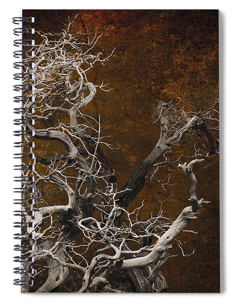 Lake Tahoe Spiral Notebook featuring the photograph Tahoe 3 by Jeff Burgess