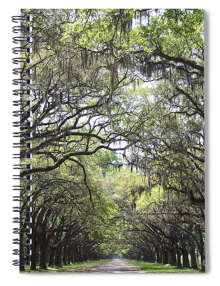 Tree Spiral Notebook featuring the photograph Take me home by Andrea Anderegg