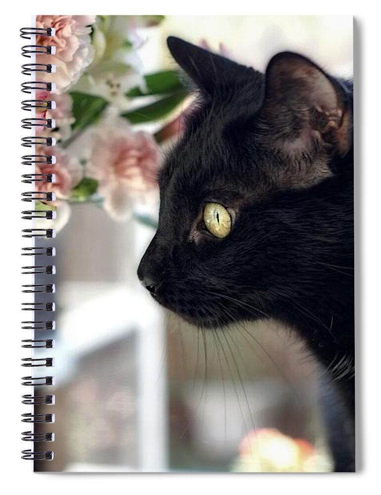 Black Cat Spiral Notebook featuring the photograph Take Time To Smell The Flowers by Peggy Hughes