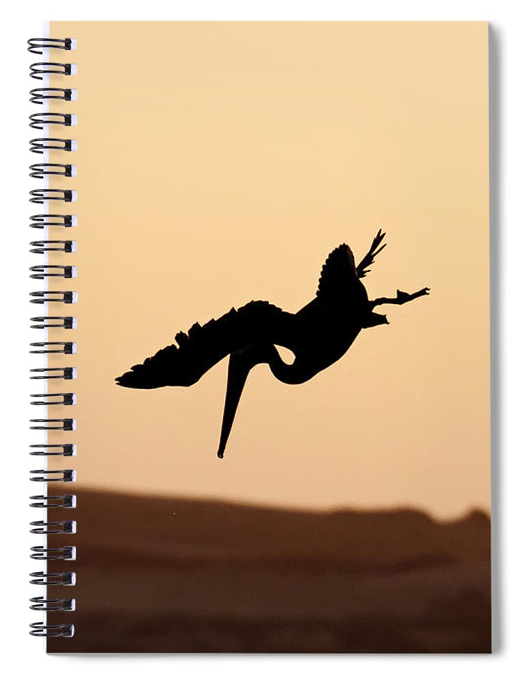United States Spiral Notebook featuring the photograph Taking a Dive by Darin Volpe
