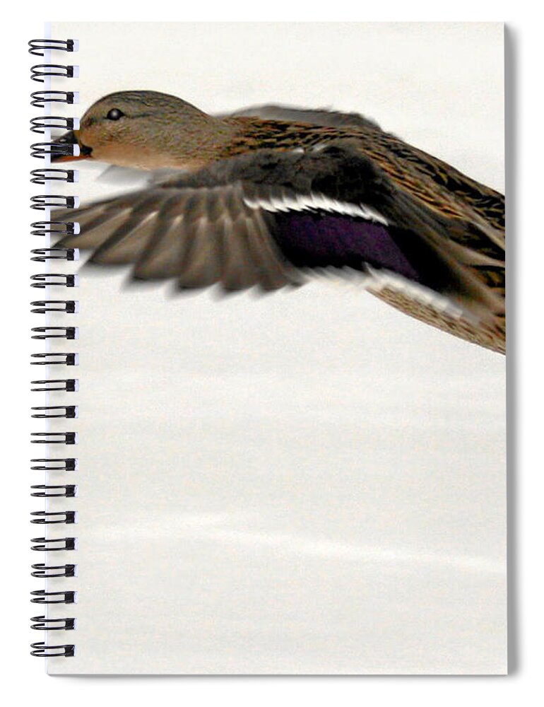 Taking Off Spiral Notebook featuring the photograph Taking Off by John Telfer