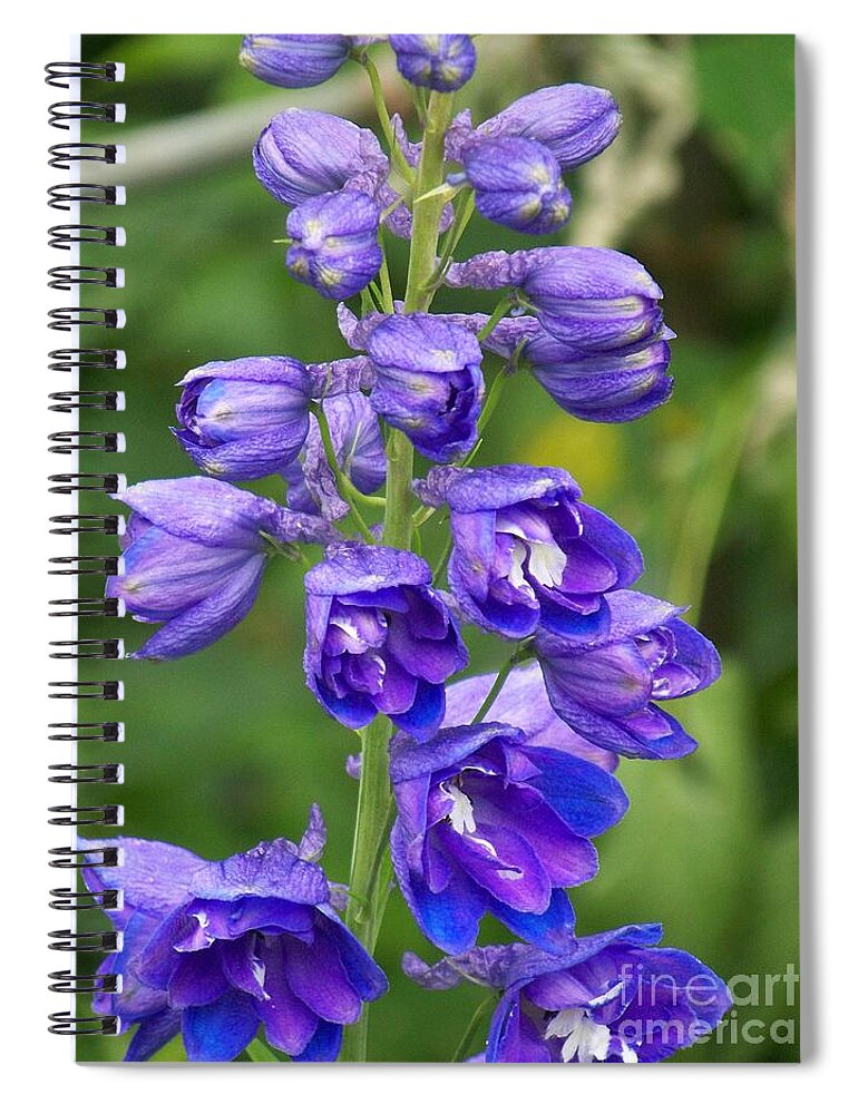Blue Flower Spiral Notebook featuring the photograph Blue Flowers by Eunice Miller