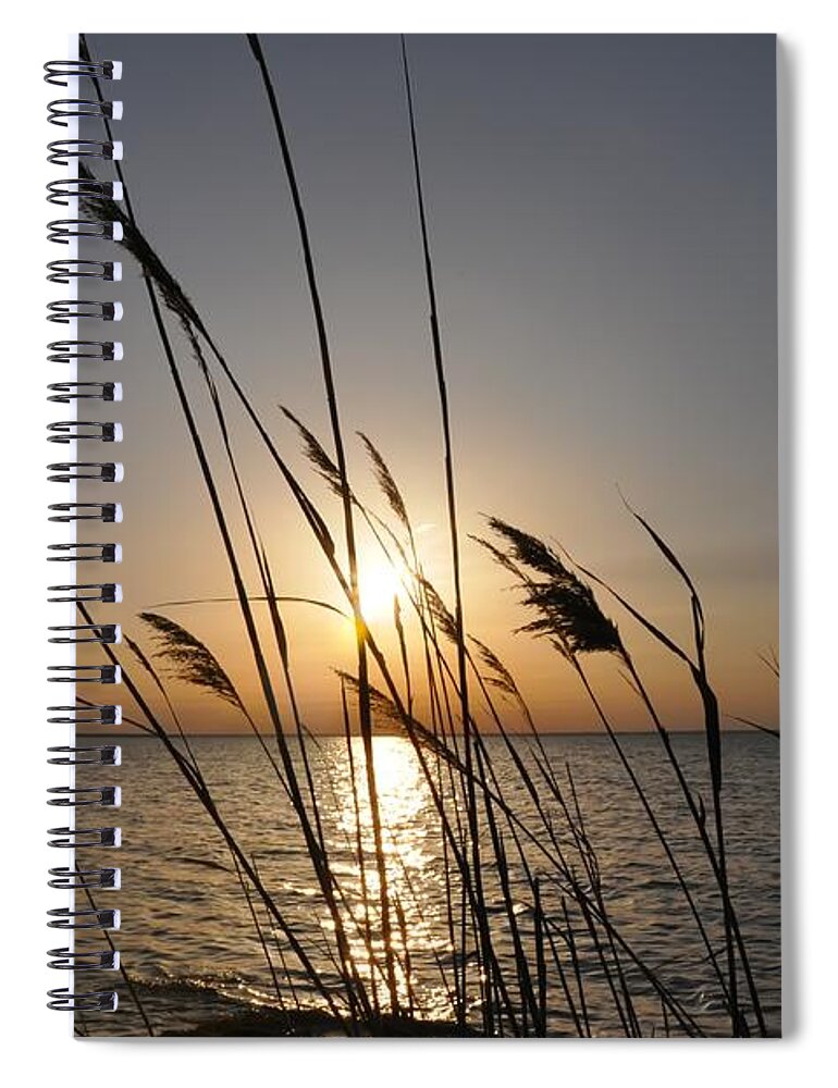 Sunset Spiral Notebook featuring the photograph Tall Grass Sunset by Bill Cannon