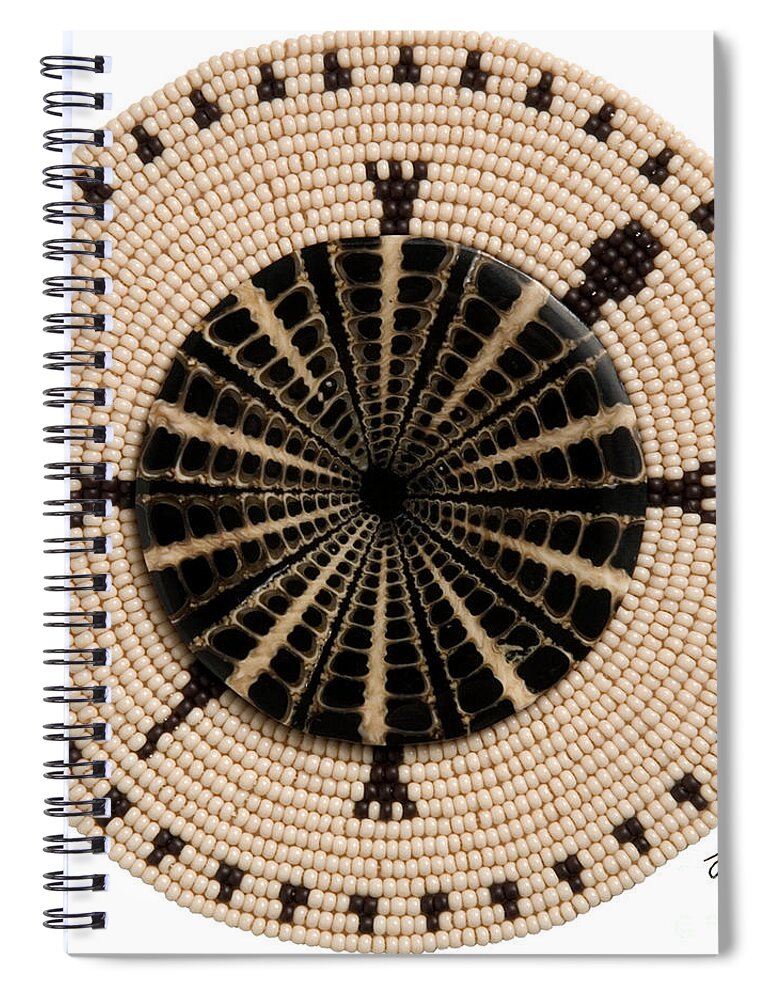 Shell Spiral Notebook featuring the mixed media Tan Shell by Douglas Limon
