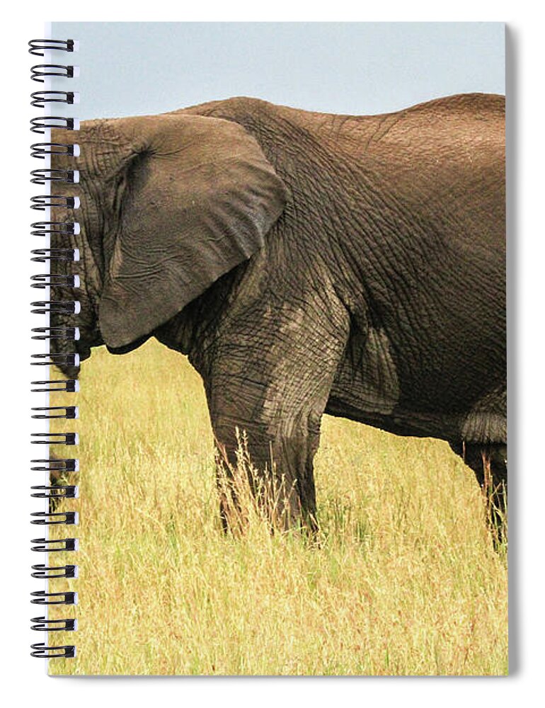 Tanzania Spiral Notebook featuring the photograph Tanzanian Elephant by Photo By Diane J Geddes, Winnipeg, Canada