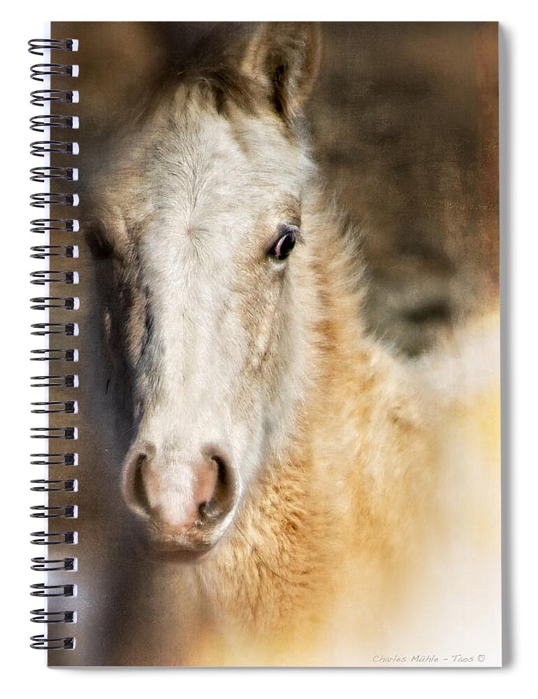 Pony Spiral Notebook featuring the photograph Taos pony X by Charles Muhle